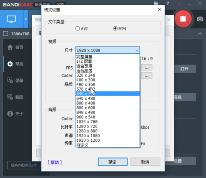 Bandicam设置录制视频尺寸的操作流程截图