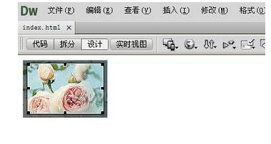 Dreamweaver编辑图片的基础操作截图