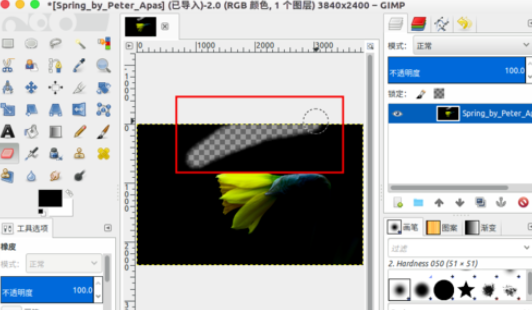 GIMP打造出透明图片的简单操作截图