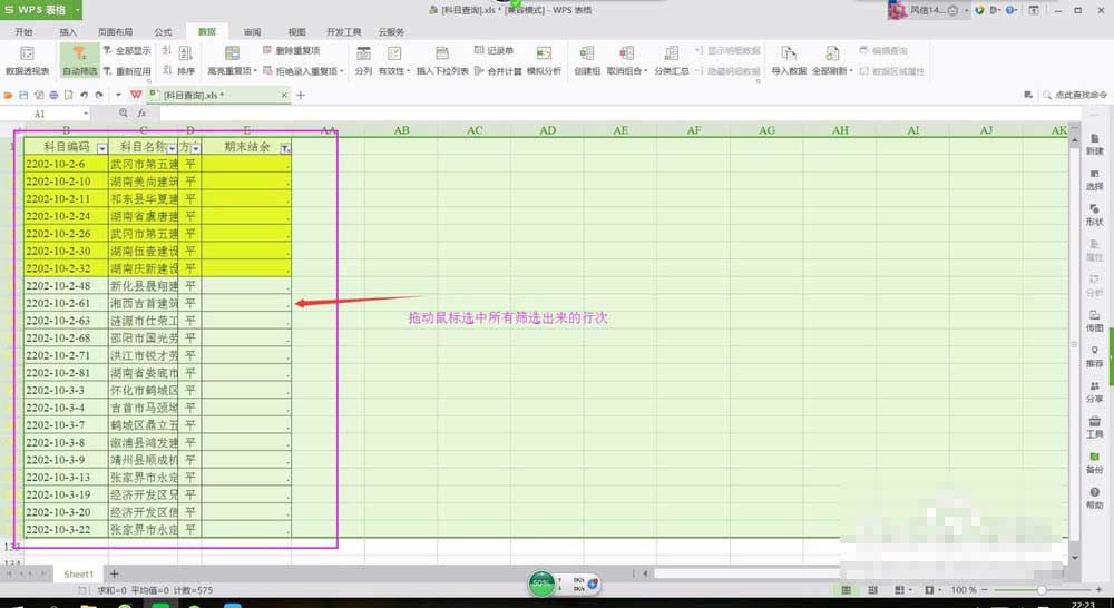 wps表格批量去除无用行的简单操作截图