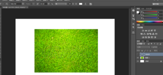 photoshop制造草地文字的操作流程截图