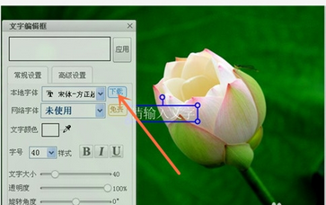 美图秀秀为拼图加文字的操作流程截图