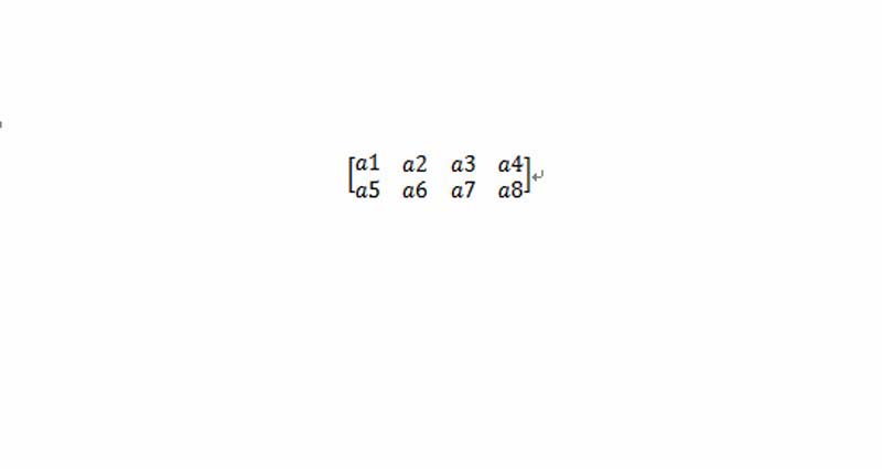 word输入2*4矩阵的详细操作截图