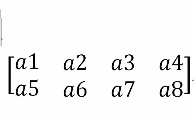 word输入2*4矩阵的详细操作截图