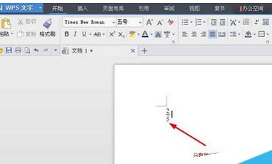 wps打出分数的简单操作截图