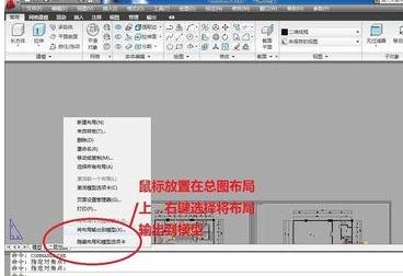 AutoCAD 2010布局图拖拽到模型中的详细操作截图