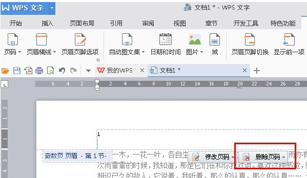 WPS设置起始页的操作流程截图