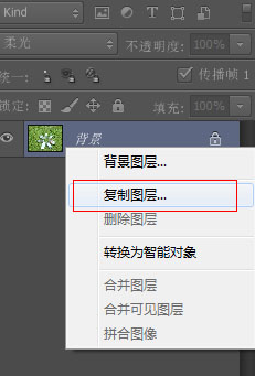 Adobe Photoshop CS6为草地打造亮丽颜色的详细操作截图