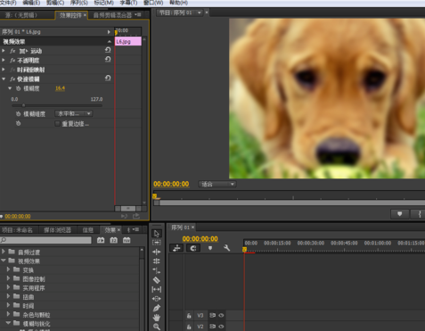 Premiere制作快速模糊效果的图文操作截图