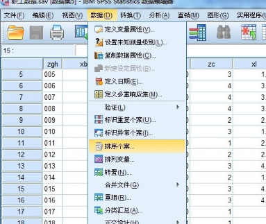 SPSS实现数据排序的具体操作方法截图