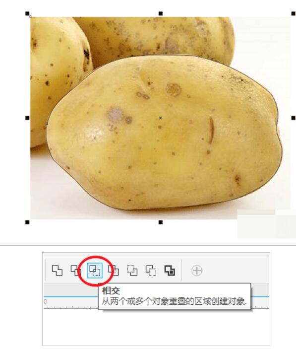 cdr抠土豆的详细操作方法截图