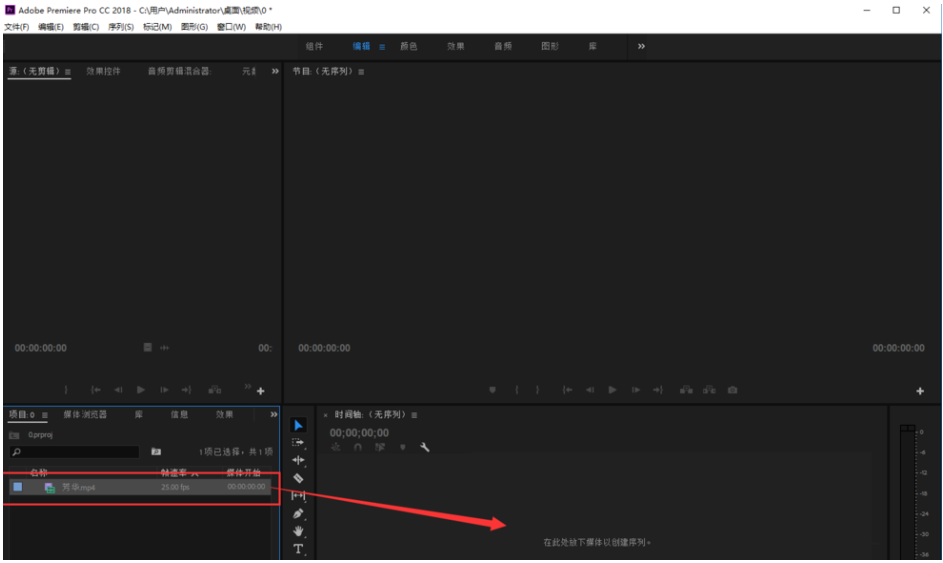 Premiere进行视频去色处理的具体操作使用截图