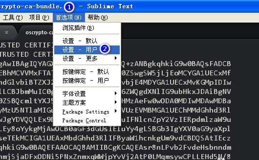 sublime text设置禁止打开上次关闭未退出文件的处理操作截图