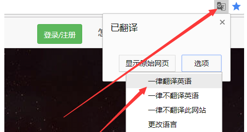 谷歌翻译的具体使用方法截图