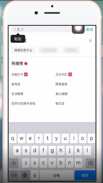 在支付宝里进行粘贴搜索码的图文操作截图