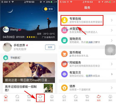 有宠app发布求助的操作过程截图