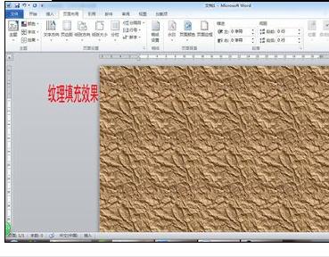 Word2010版设置调整页面的操作方法截图