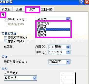 word2003页面设置的使用教程截图