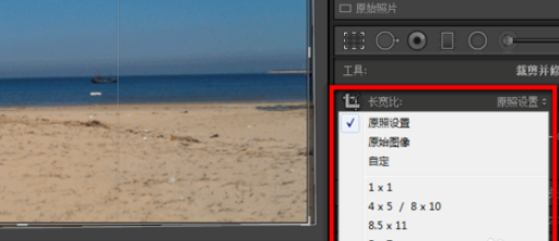 lightroom进行剪裁图片的使用步骤截图