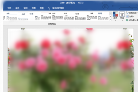 word2019设置图片背景的操作教程截图