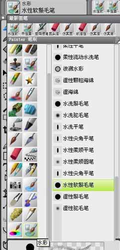 Painter绘制出水彩画效果图片的相关教程截图