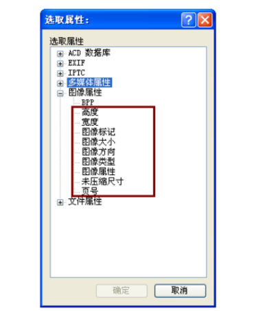 ACDSee添加更多排序选项的操作教程截图