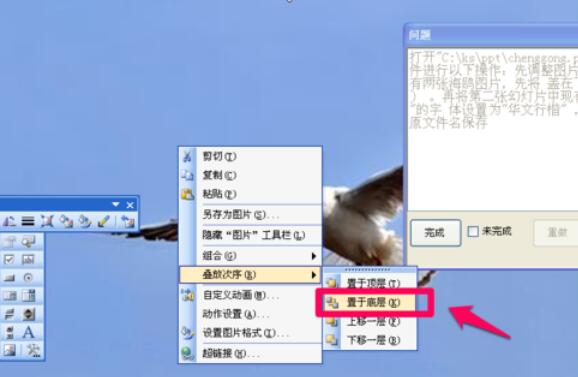 Power Point2003中调整图片层次的操作步骤截图
