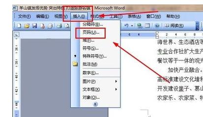 word2003中将第二页设置为第一页的操作步骤截图