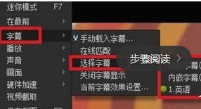 迅雷看看播放器中加载字幕的详细方法介绍截图