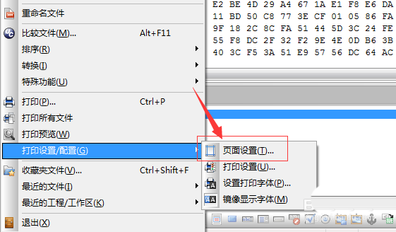 UltraEdit中页面添加页眉的详细操作步骤截图