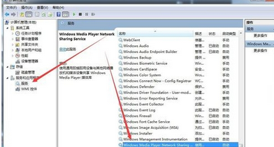 Windows Media Player无媒体流选项的解决办法截图