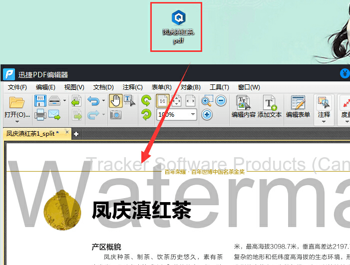 迅捷pdf编辑器去除pdf水印的具体操作步骤截图