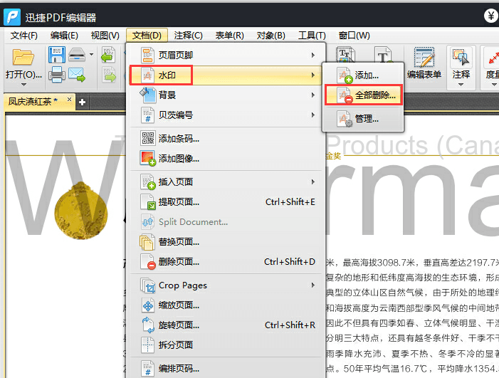 迅捷pdf编辑器去除pdf水印的具体操作步骤截图