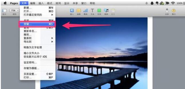 Pages保存文档的具体方法步骤截图