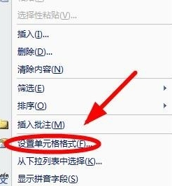 excel2007快速隐藏以及恢复单元格内容的操作教程截图