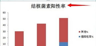 excel2007绘制分段条图的操作教程截图