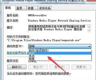 Windows Media Player出现没有媒体流选项的操作使用方法截图