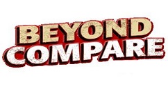 Beyond Compare比较Java源代码文件的详细操作方法