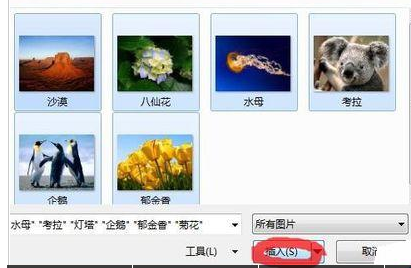 PowerPoint Viewer批量导入照片的详细操作步骤截图