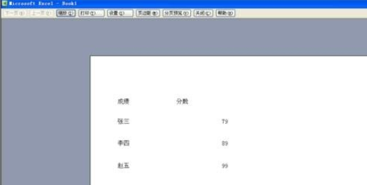 excel2007设置并打印网格线的相关操作步骤截图