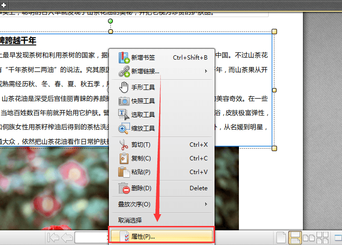 迅捷pdf编辑器为文件中部分文字加粗的操作教程截图