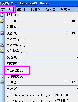 word2003进行页面设置的具体操作步骤截图