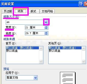 word2003进行页面设置的具体操作步骤截图