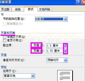 word2003进行页面设置的具体操作步骤截图