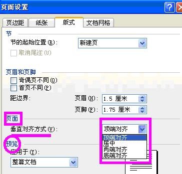 word2003进行页面设置的具体操作步骤截图