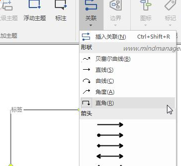 mindmanager中绘制流程图的详细操作方法截图