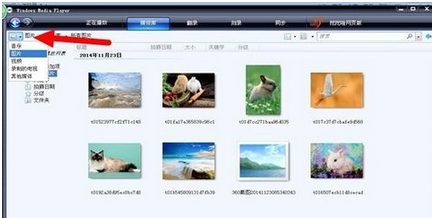 Windows Media Player中进行添加图片的操作教程截图