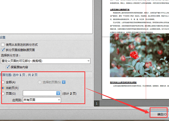 迅捷pdf编辑器拆分PDF页面的操作教程截图