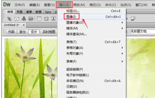 dreamweaver cs6中插入图片的详细操作步骤截图