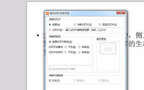 PowerPoint Viewer转成word文件的详细操作教程截图